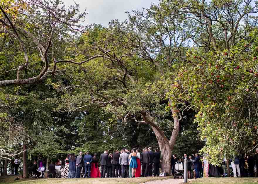 Ceremonia Civil de boda en el Pazo de Orto
